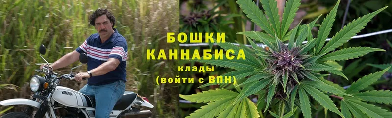 Бошки Шишки SATIVA & INDICA  купить закладку  Покачи 